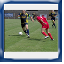 Lustri in azione